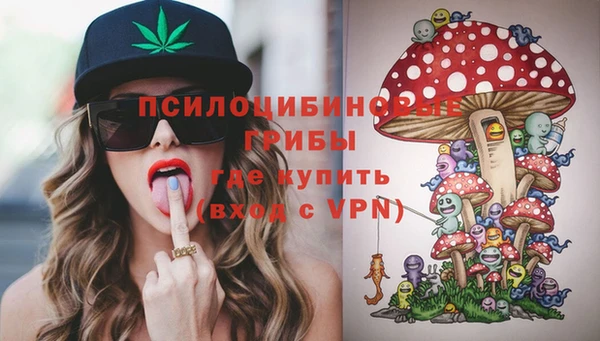 прущая мука Бородино